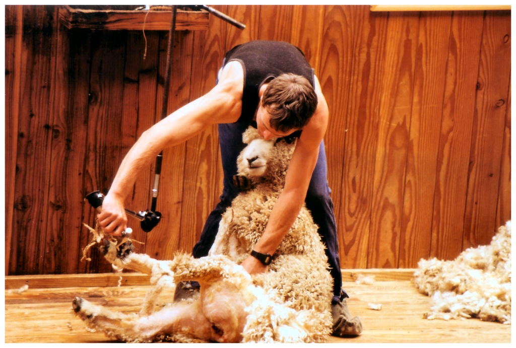 06 - New-Zealand (6).jpg